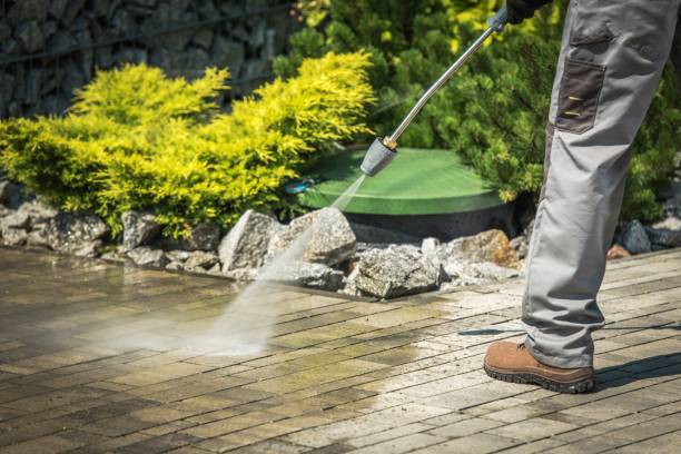Best Soft Washing  in Miami Lakes, FL