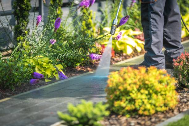 Best Parking Lot and Garage Cleaning  in Miami Lakes, FL