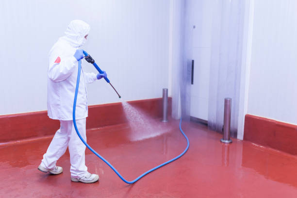  Miami Lakes, FL Pressure Washing Pros