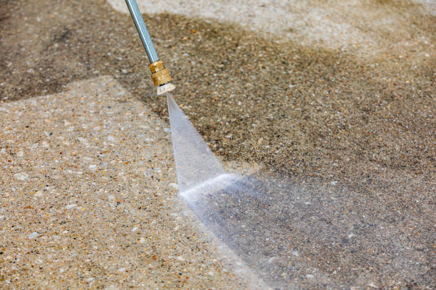 Best Driveway Pressure Washing  in Miami Lakes, FL